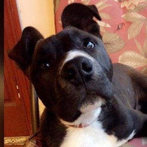 Meet your Posher, Marco